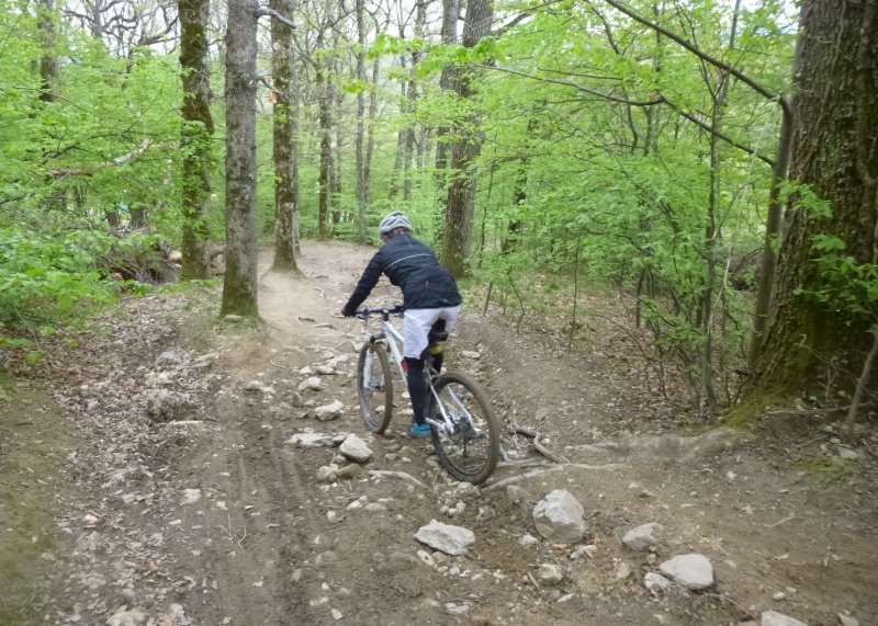 Rando des Badrais - St Didier Sous Riverie - 24 avril 2016